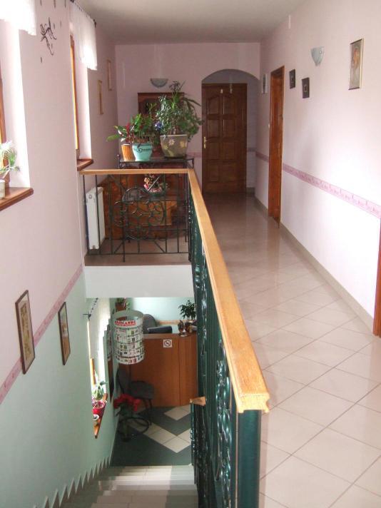 Timarhaz Panzio Bed & Breakfast แซแก็ด ภายนอก รูปภาพ