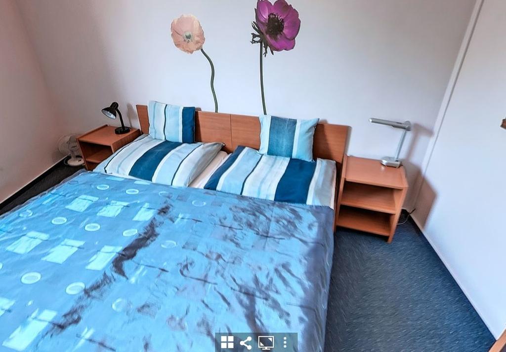 Timarhaz Panzio Bed & Breakfast แซแก็ด ภายนอก รูปภาพ